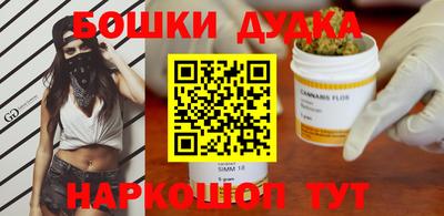 крисы Коммунар