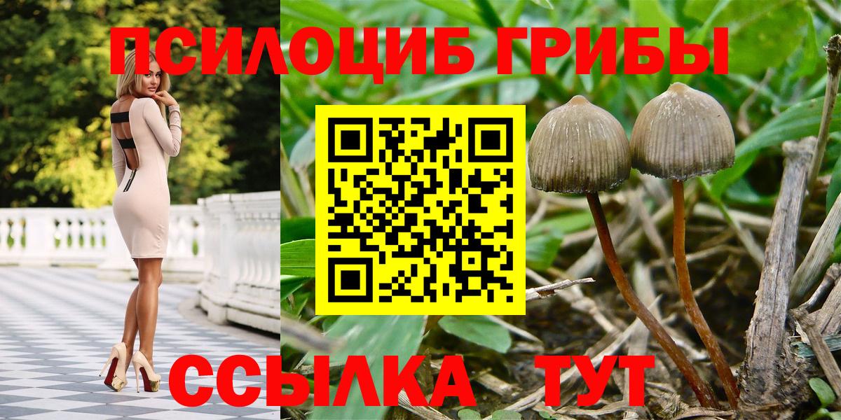 Галлюциногенные грибы Magic Shrooms  Вход с VPN  Коркино 