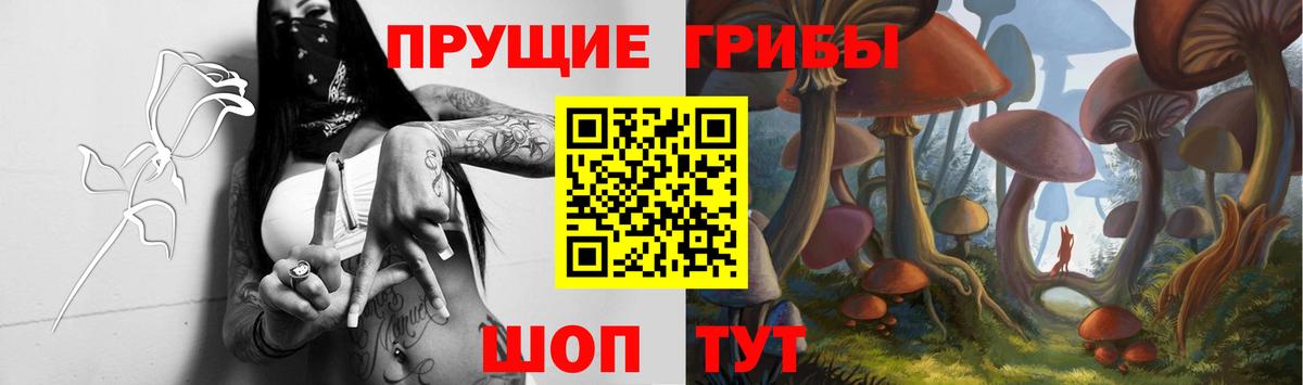 Галлюциногенные грибы прущие грибы Коркино
